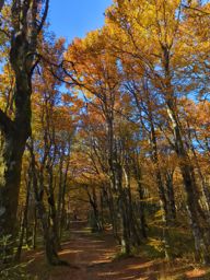 Boucle lac blanc  Hirschteine