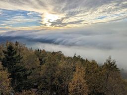 rando  Colbery Kohlberg Donon