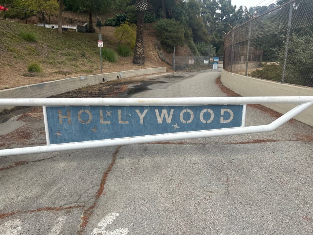 NBB run - Lake Hollywood photo 36