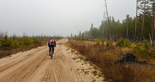 Для сравнения - 9 ноября 2019. Пески были гораздо более сырыми и плотными.