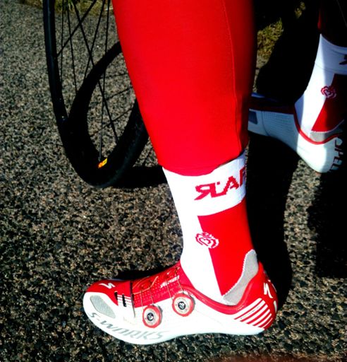 Vendée terre de mes ancêtres ! Et surtout terre de vélo !!!