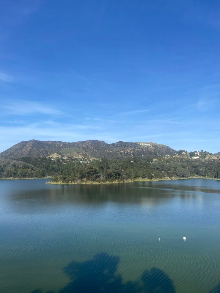 NBB run - Lake Hollywood photo 151