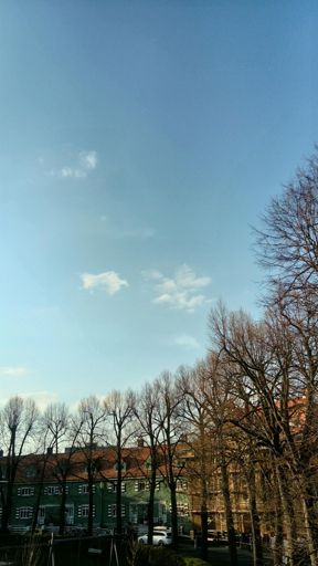 vermeintlich schön .. aber der Wind .. und die Kälte