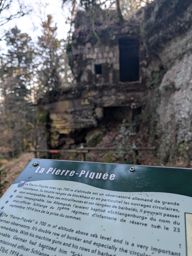 Pierre-piquée Derzognier