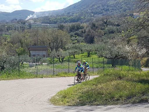 Eccoli stanno arrivando!!!!