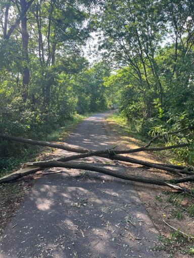 Zu hoch und weit für einen Bunnyhop 😂