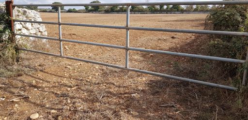 Solo a questo punto mi sono arreso😭