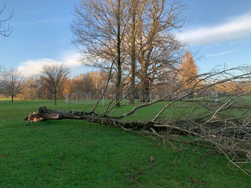 IoW council in 1 picture 😂