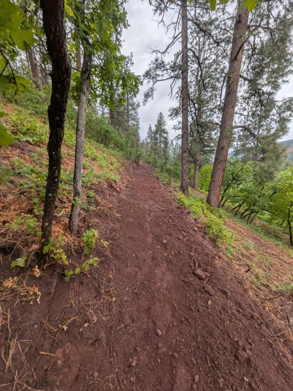 trail work in the rain