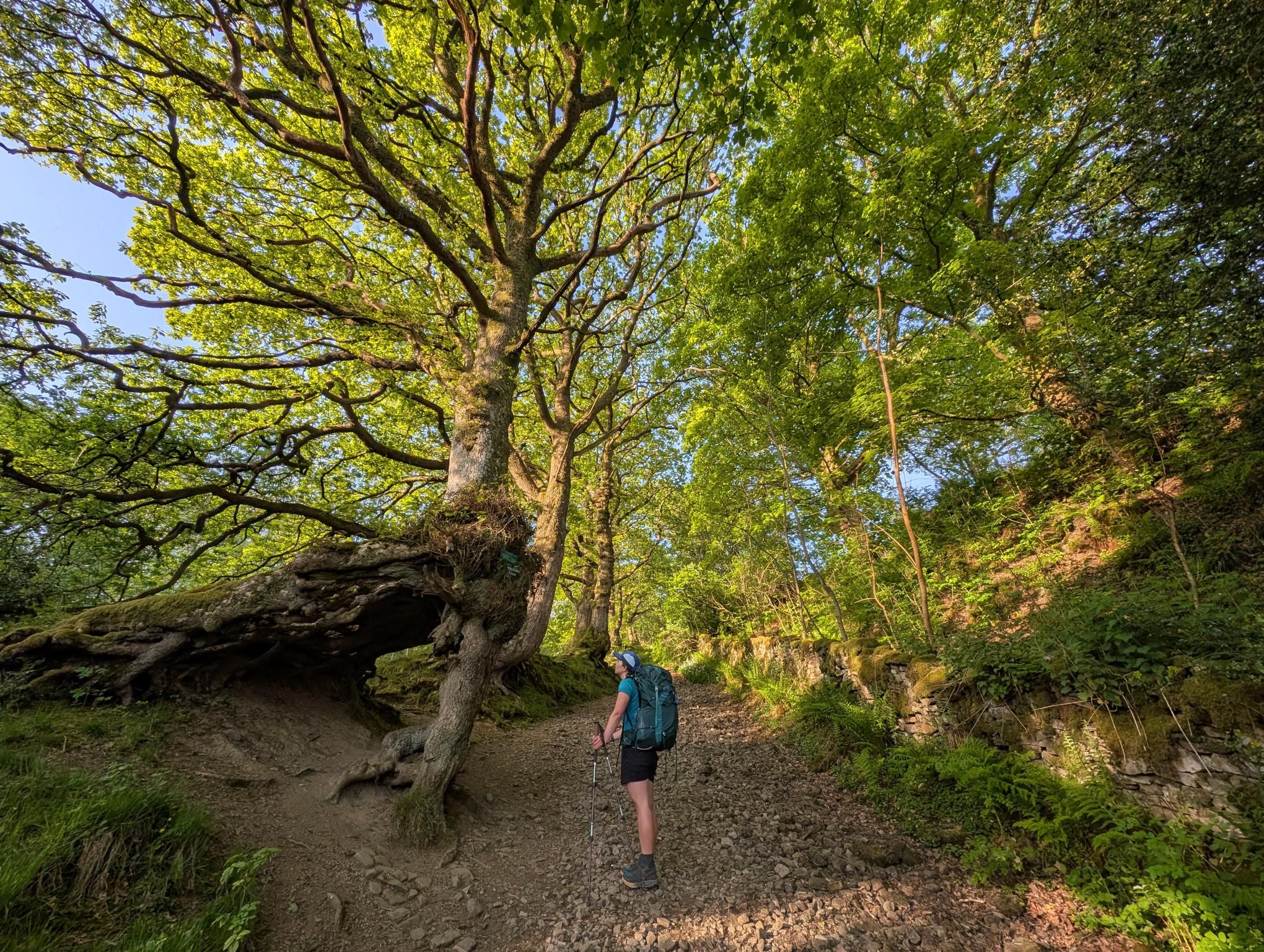 Dent to Ireby photo 3