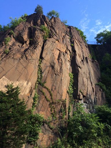 Near the East Rock Staircase Trail