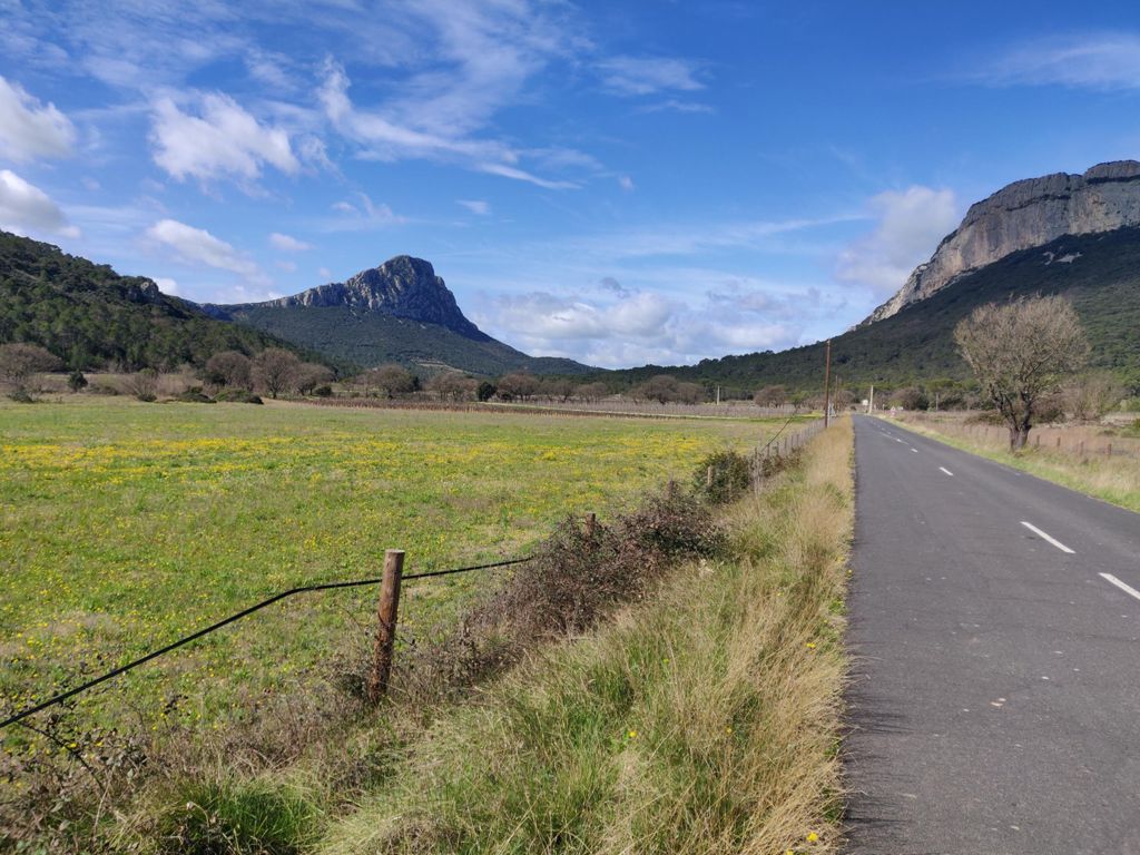 PIC SAINT LOUP, photo 31