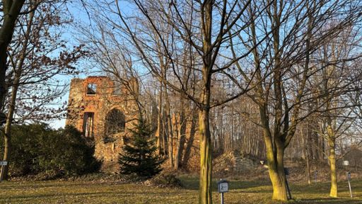 Vorbei führte der Spaziergang heute auch an der Schlossruine. Noch sind die Bäume kahl. Bis sie grün werden, wird es noch ein bisschen dauern.