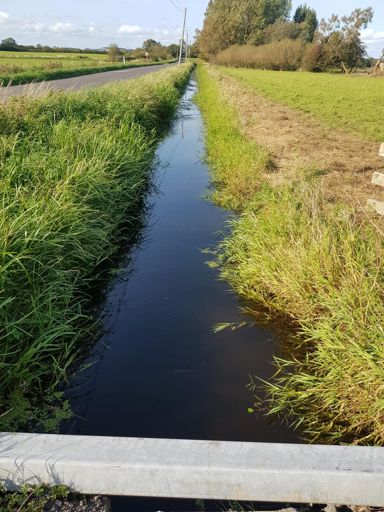 Just like Cambridgeshire