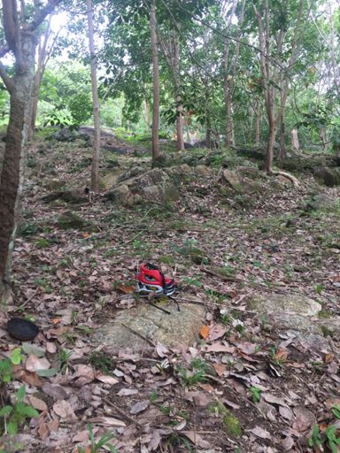 Rock garden for some techy fun !