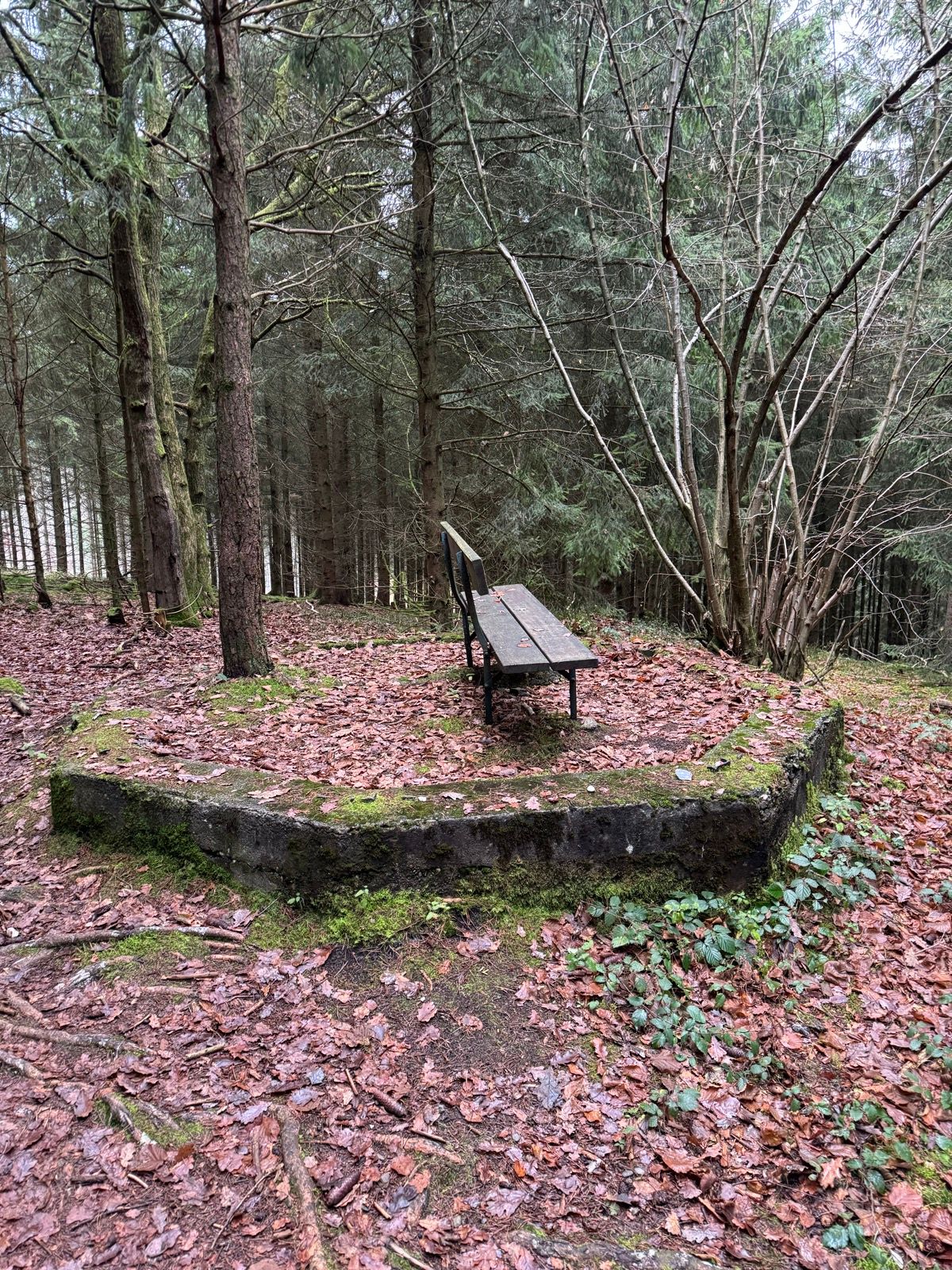 Das ominöse Octagon 🤷🏻‍♂️