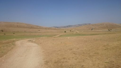 Campos de Hernán Pérea