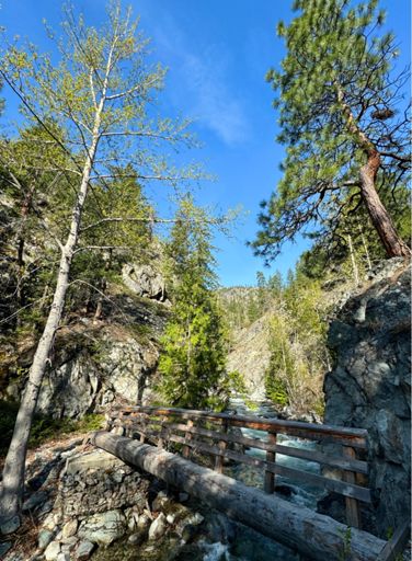 Eureka creek bridge. 