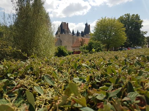 Château de Fougère