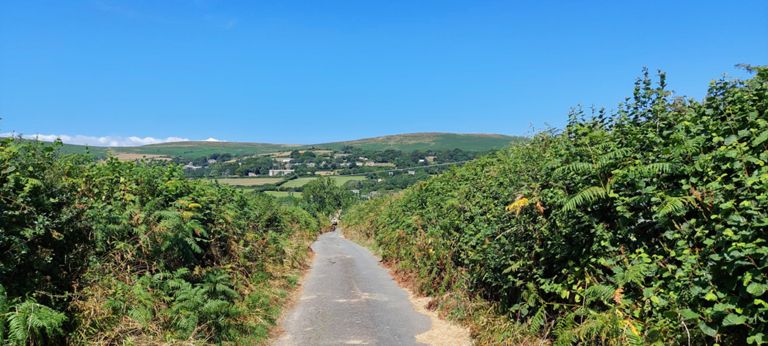 Climbing up to cross Devon Expressway. This looks back south east.