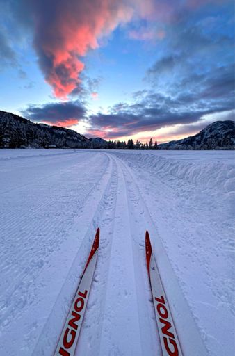 Well done grooming and track setting.