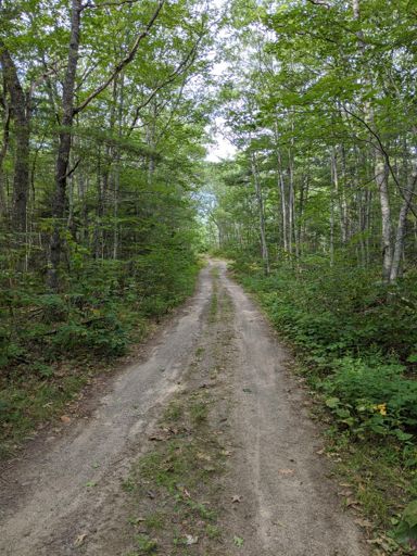 Elliot Hill right before it turned backcountry