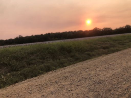 Sunset over a cotton field. Lots of cotton fields, all day long, southern snow.