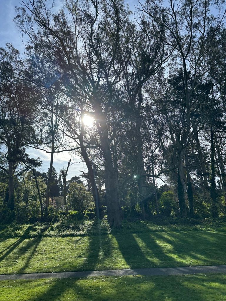 Butterlap (Presidio & Golden Gate Park) photo 119