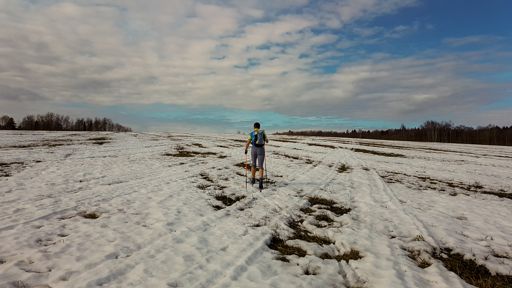 Поля севернее Новинок.