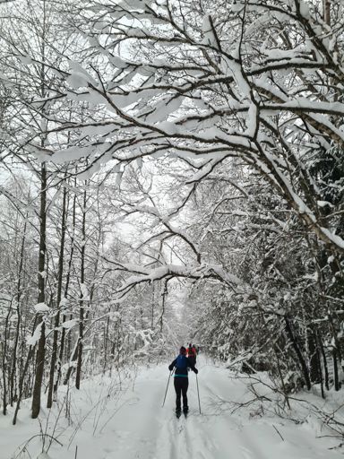 Вблизи Нушпол.