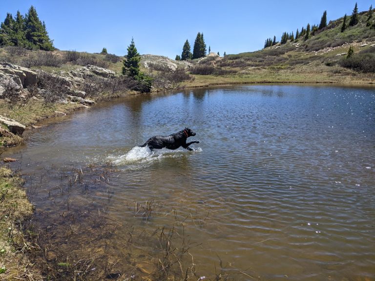 Lime Mesa, West Silver Mesa, City Reservoir Trail