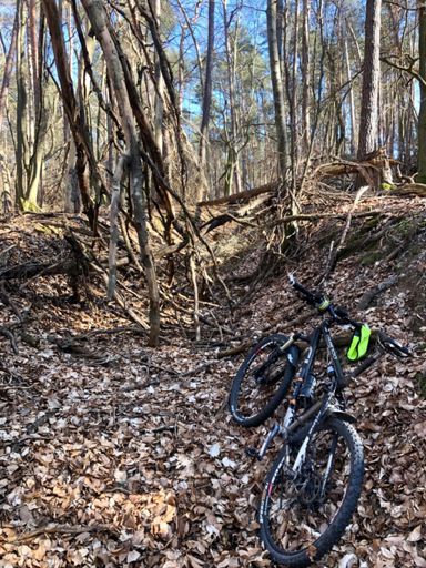Hätte ne Motorsäge mitnehmen sollen 😂