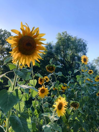 Takie widoki w Stróży