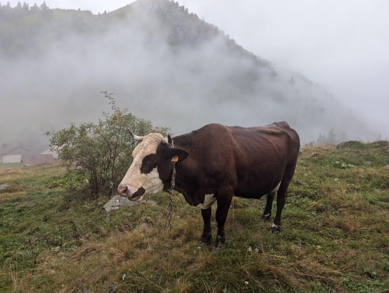 GR 5 Part 1 - Day 8 photo 9