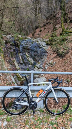 www.strava.com