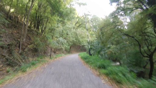 Nyitva az alsó sorompó! Tök jó!  Akkor nyél!    Kistányéron kellett volna kezdenem, de ragaszkodtam az 50-eshez, így a 28 is kellett még így, nyélen is.