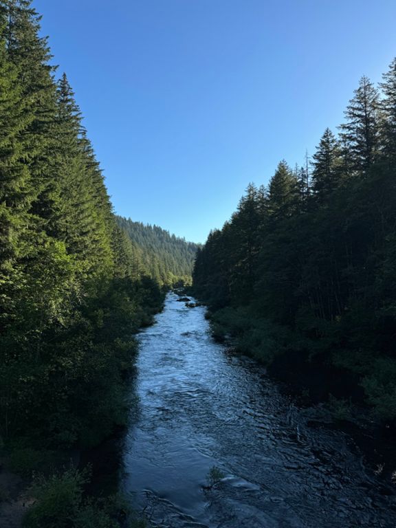 route-highlight