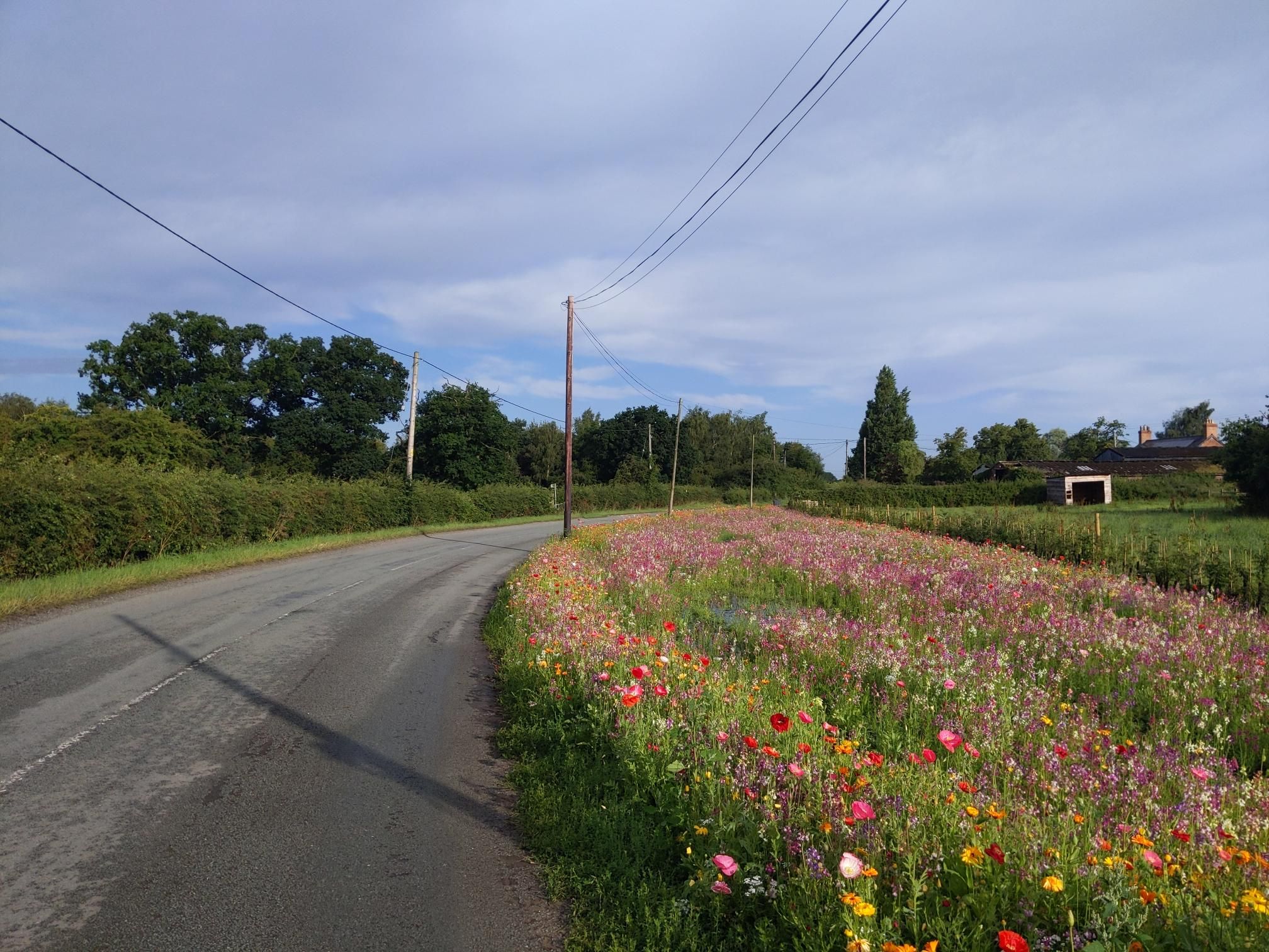 Skipton to Lands End - Day 2 photo 2