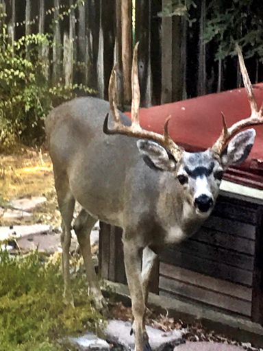 Checking out the hot tub