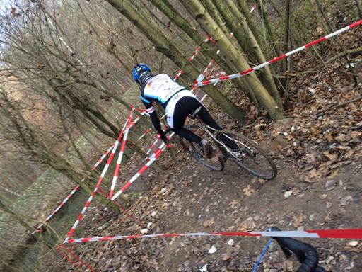 Ingmar im Flatterbandirrgarten