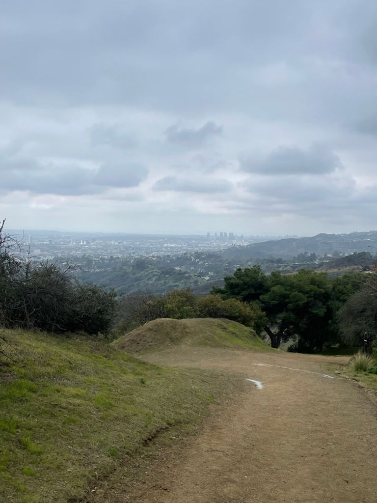 NBB run - Lake Hollywood: фото 102