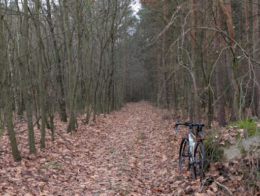 Listowie, z fr. feuillage :)