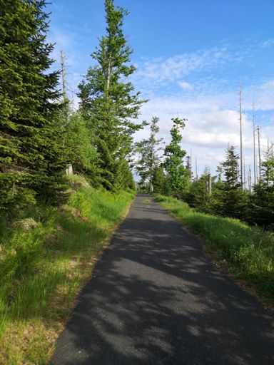 Nejlepší asfalt úseku, stále dost hrubý.