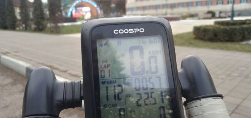 +11 С при пасмурности на пр Победы в Кисловодске напротив муз школы. 