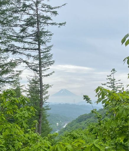 遠くは降っていない模様