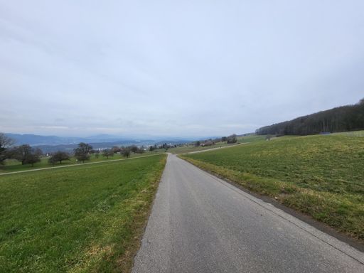 Heiti ⛰️ Südhang hinunter... 🧸🥰 💜🐢