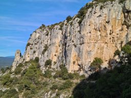 Le crane de Colombier