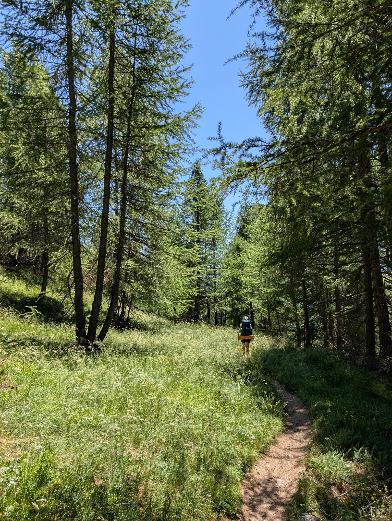 GR58 - Day 4 photo 11