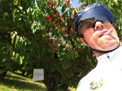 Attention aux cerises ⚠