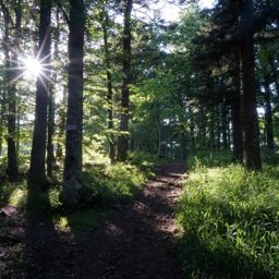 Entre le col d’Amic et le Vieil Armand